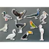 Set aves magnéticas 10 piezas