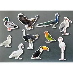 Set aves magnéticas 10 piezas
