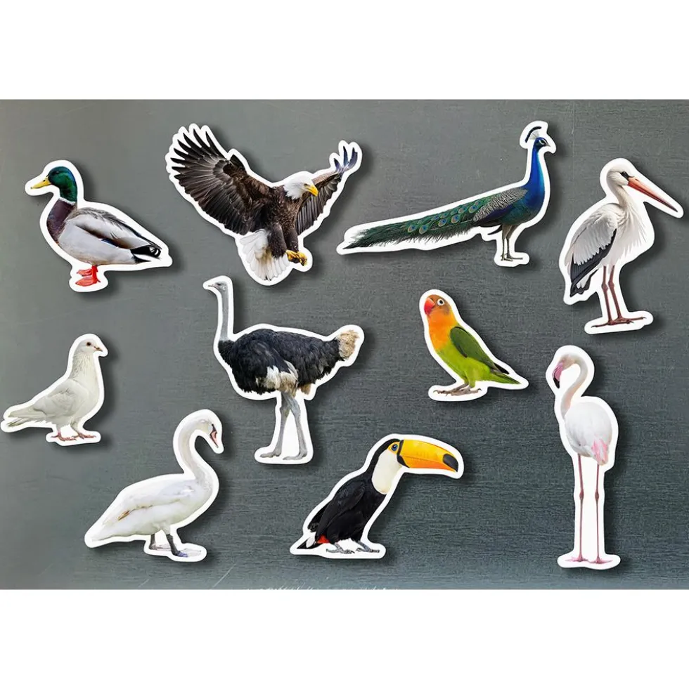 Set aves magnéticas 10 piezas