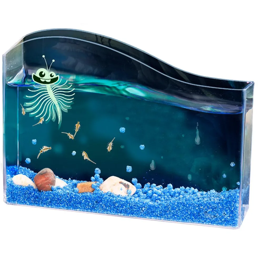 Set de cultivo criaturas marinas Saltwater creatures