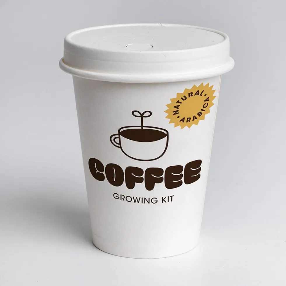Set de cultivo de café