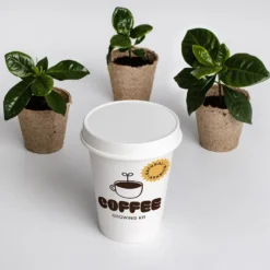 Set de cultivo de café