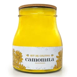 Set de cultivo de camomila Emotion