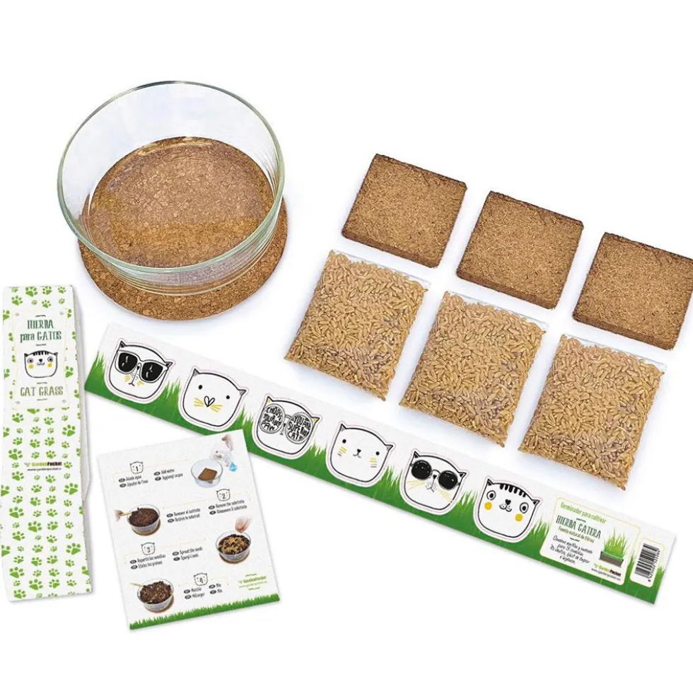 Set de cultivo de hierba gatera