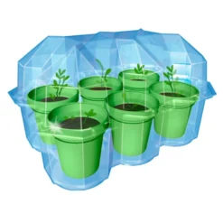 Set de cultivo Mimosa garden