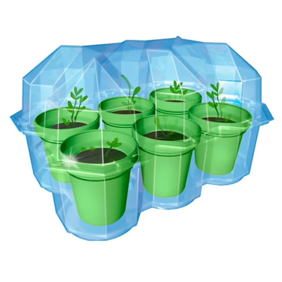 Set de cultivo Mimosa garden