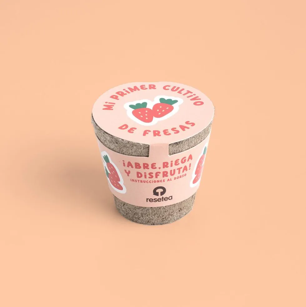 Set de cultivo Mi primer cultivo de fresas
