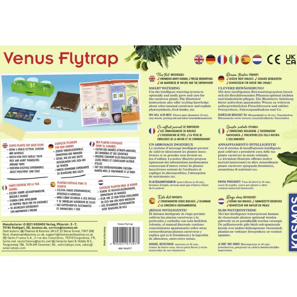 Set de cultivo planta carnívora Venus flytrap