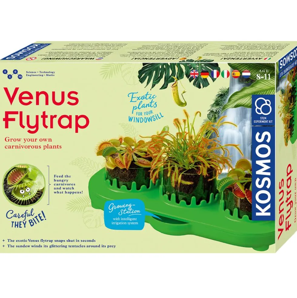 Set de cultivo planta carnívora Venus flytrap