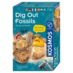 Set de excavación fósiles Dig out fossils