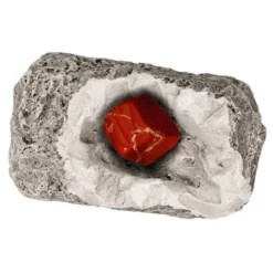 Set de excavación minerales y fósiles