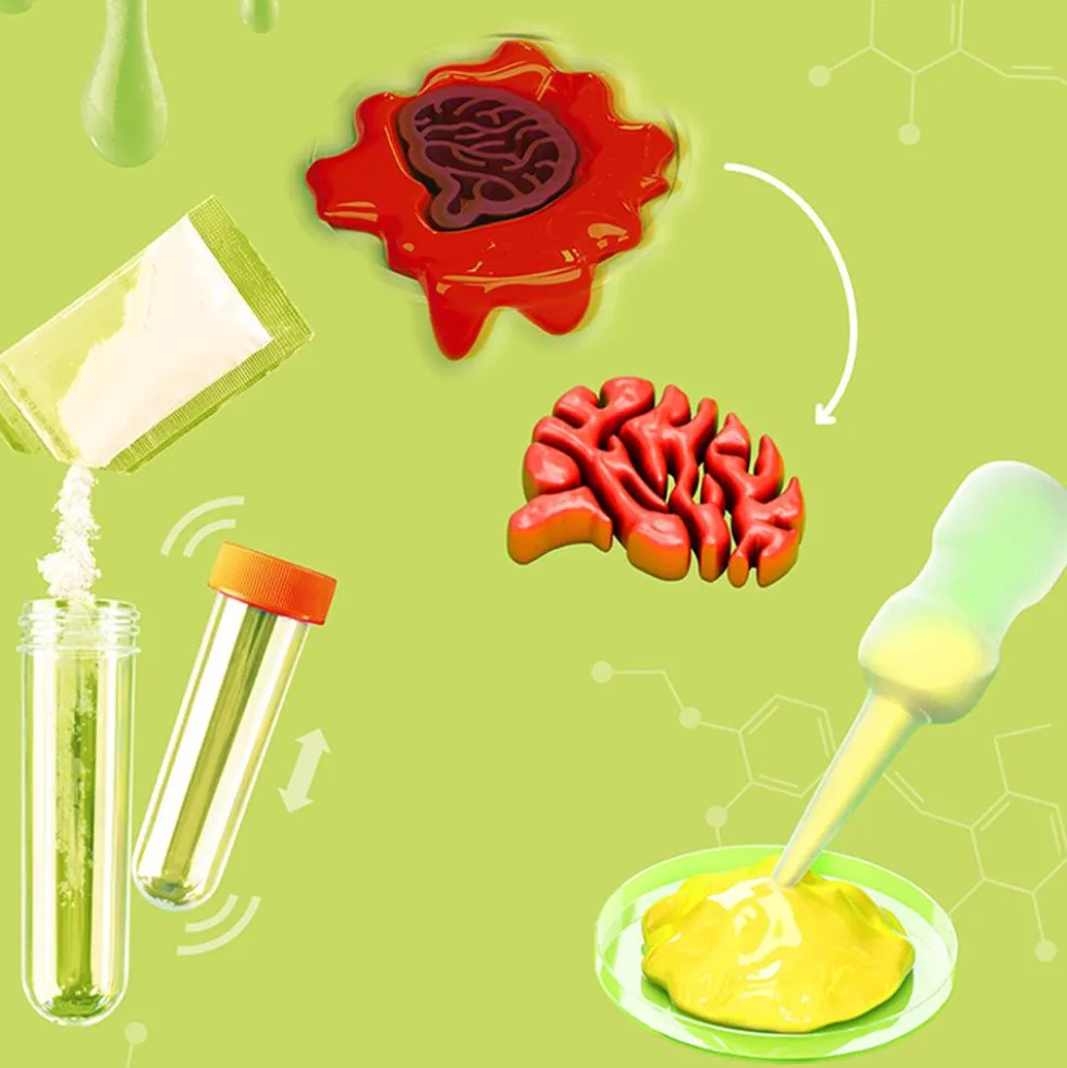 Set de experimentación Slime lab