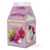 Set de ganchillo DIY vegetales amigurumi