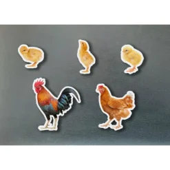 Set familia de gallinas magnética 5 piezas