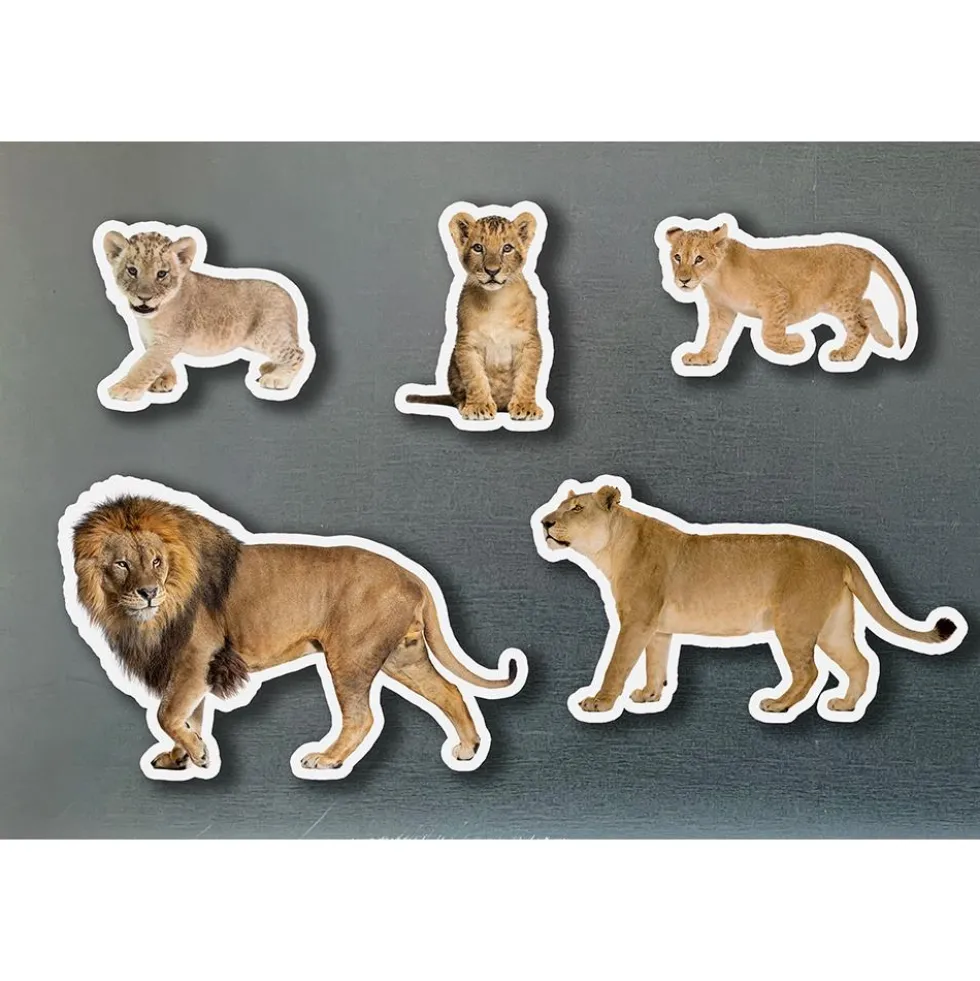 Set familia de leones magnética 5 piezas