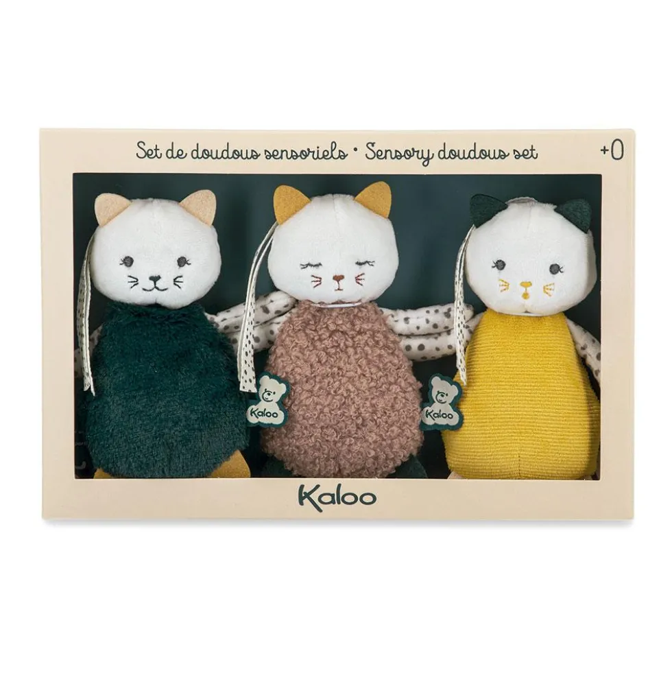 Set 3 gatitos tela texturas