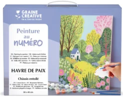 Set pintar por números Casita en el bosque