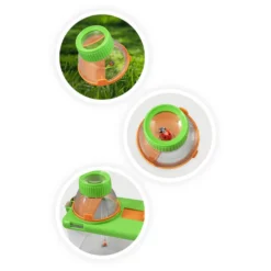 Terrario