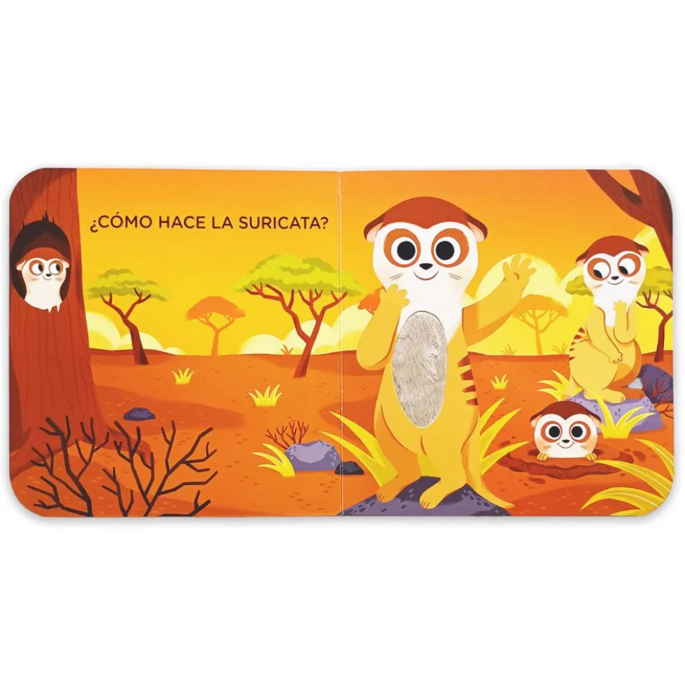 Toca y escucha: El desierto