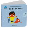 Un día de lluvia