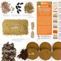 Vivarium kit de cultivo y observación de raíces